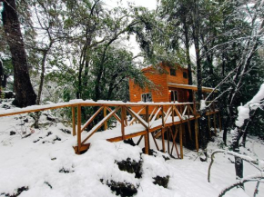 Cabañita Del Árbol Concón